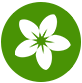 الحوزة المهدوية